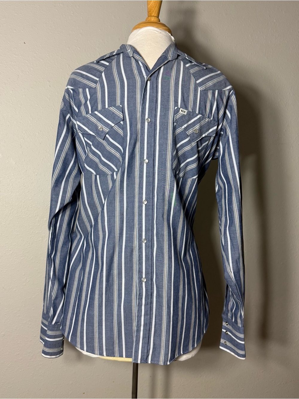 ELY Cattleman Men’s Medium Blue Striped Pearl Snap Western Shirt